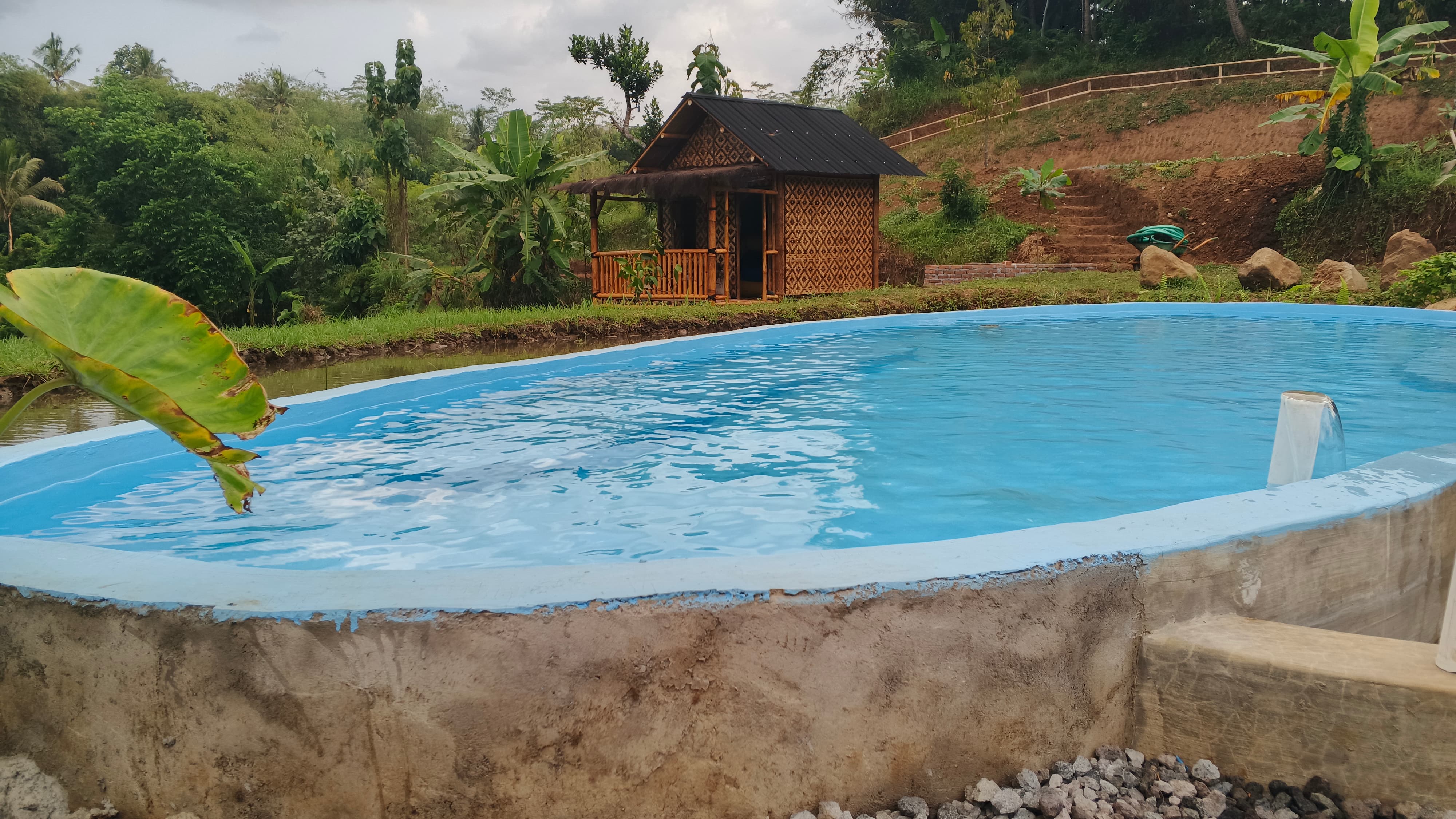 Pemandangan kolam air panas alami di Warung Kungkum - Foto 6